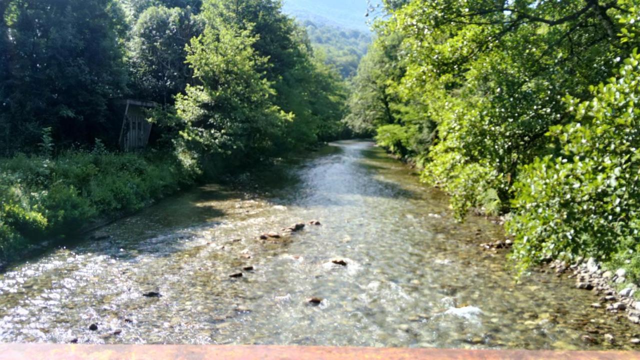 Tratincica Διαμέρισμα Tjentiste Εξωτερικό φωτογραφία